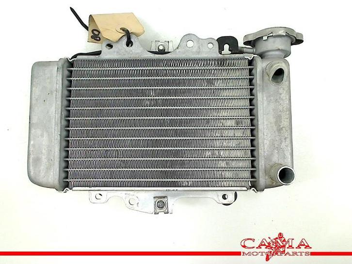 RADIATEUR Honda Dylan (PS150i) (01-1970/-) (713080), Motoren, Onderdelen | Honda, Gebruikt