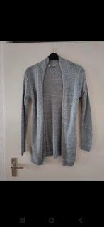 Bodyflirt Grijze Cardigan Maat M, Kleding | Dames, Truien en Vesten, Maat 38/40 (M), Ophalen of Verzenden, Zo goed als nieuw, Grijs