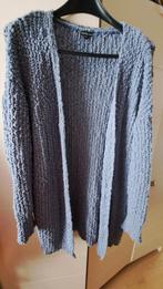 Exxcellent vest grijsblauw maat 50/52, Kleding | Dames, Grote Maten, Ophalen of Verzenden, Zo goed als nieuw, Trui of Vest