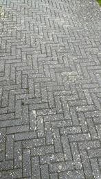 Gratis af te halen: 55m2 Dikformaat Beton, Tuin en Terras, Ophalen, Gebruikt, Klinkers, 10 m² of meer