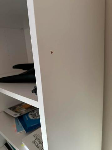 IKEA BESTA Kast met witte deurtjes - afbeelding 4