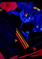📦 Resell Box – Retro ’80s & ’90s Kleding voor Wederverkoop, Overige maten, Ophalen of Verzenden, Zo goed als nieuw, Adidas