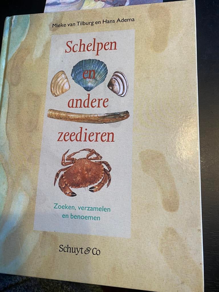 Hessel Adema - Schelpen en andere zeedieren, Ophalen of Verzenden, Nieuw, Overige onderwerpen, Hessel Adema; M. van Tilburg