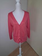 Mooi vest maat S/M van Styles Nieuw!, Styles, Ophalen of Verzenden, Nieuw, Roze