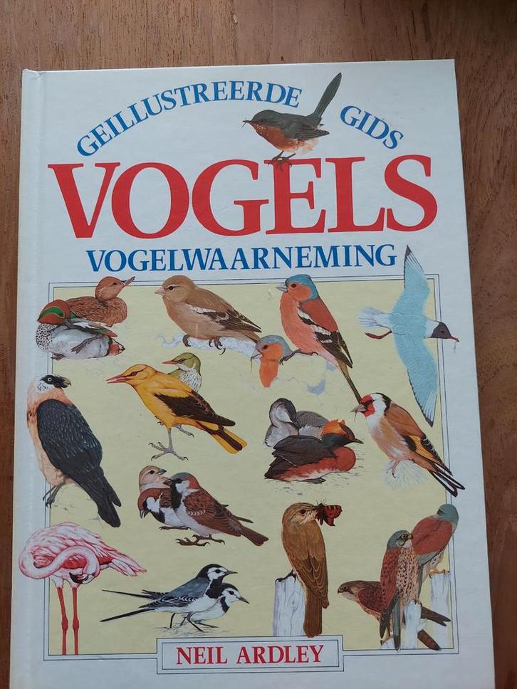 Geïllustreerde Gids Vogels - Neil Ardley, Boeken, Natuur, Zo goed als nieuw, Vogels, Ophalen of Verzenden