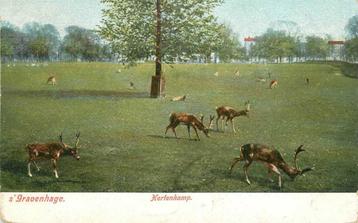 (380-204-009) Den Haag  Hertenkamp beschikbaar voor biedingen