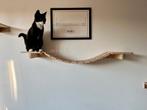 Nieuwe Kattenklimwand ., Ophalen of Verzenden, Nieuw