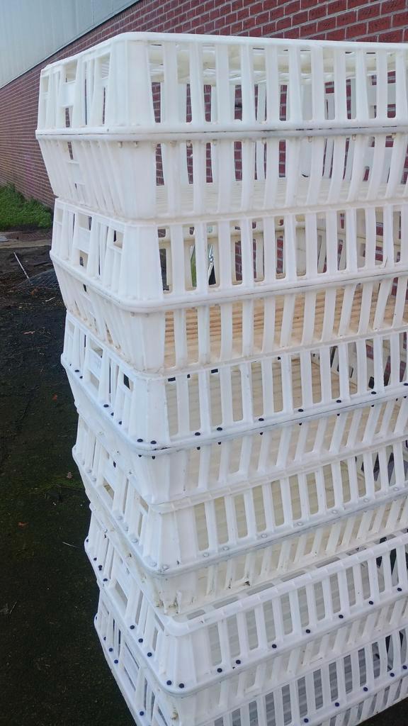 Kippen/Konijnen Kratten, Huis en Inrichting, Woonaccessoires | Schalen en Manden, Gebruikt, Mand, Rechthoekig, Kunststof, Ophalen