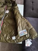 Moncler Style Jas - Premium Kwaliteit, Ophalen of Verzenden, Nieuw, Overige maten, Groen