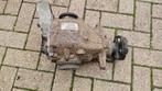Cardan differentieel achterzijde schakel 3.07 BMW 1 / 3 seri, Gebruikt, -, Ophalen of Verzenden, -