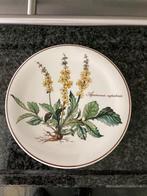 Villeroy& Boch onderzetter botanica, Ophalen of Verzenden