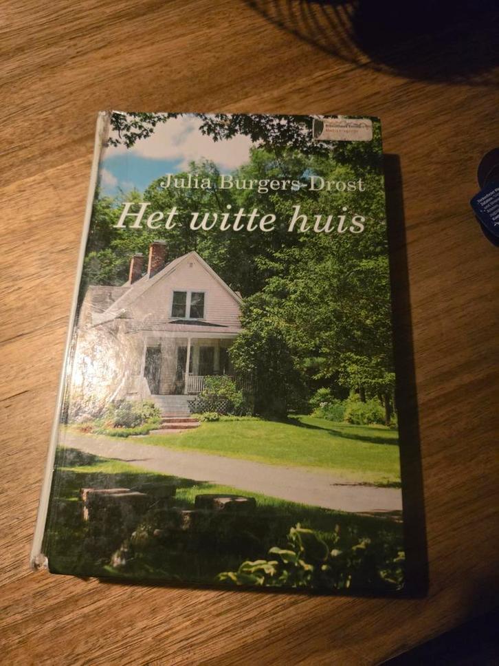 Het witte huis - Julia Burgers-Drost groot letterboek, Boeken, Streekboeken en Streekromans, Gelezen, Ophalen of Verzenden