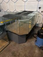 Groot knaagdieren terrarium, Dieren en Toebehoren, Vissen | Aquaria en Toebehoren, Ophalen of Verzenden, Gebruikt