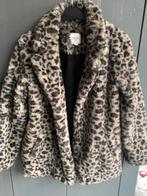 Jas Saint Tropez, Bruin, Ophalen of Verzenden, Zo goed als nieuw, Maat 34 (XS) of kleiner