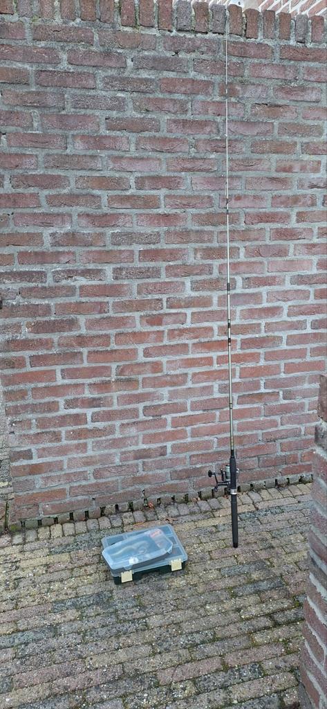 Roofvisset met 2 koffertjes, Watersport en Boten, Hengelsport | Algemeen, Gebruikt, Complete hengel, Ophalen of Verzenden