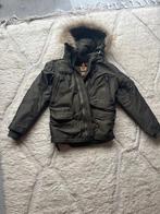 jas, Kleding | Heren, Jassen | Winter, Ophalen, Maat 48/50 (M), Parajumpers, Zo goed als nieuw