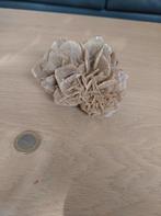 Woestijnroos, Verzamelen, Mineralen en Fossielen, Ophalen of Verzenden