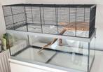 Hamster Terrarium, Dieren en Toebehoren, Knaagdieren en Konijnen | Hokken en Kooien, Kooi, Minder dan 75 cm, Zo goed als nieuw