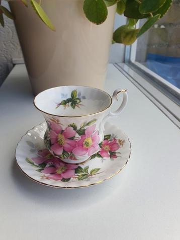 Klein Royal Albert Kopje Prairie Rose Collectie - Goed beschikbaar voor biedingen