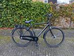 Pegasus Lucca, Jongensfiets, Schoolfiets, Herenfiets, Gebruikt, Versnellingen, 49 tot 53 cm, Ophalen