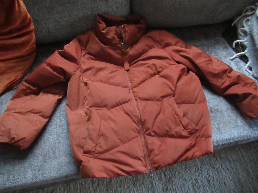 roestbruine BRAX Feel Good WINTER JAS, maat 42, Overige kleuren, Maat 42/44 (L), Zo goed als nieuw, BRAX