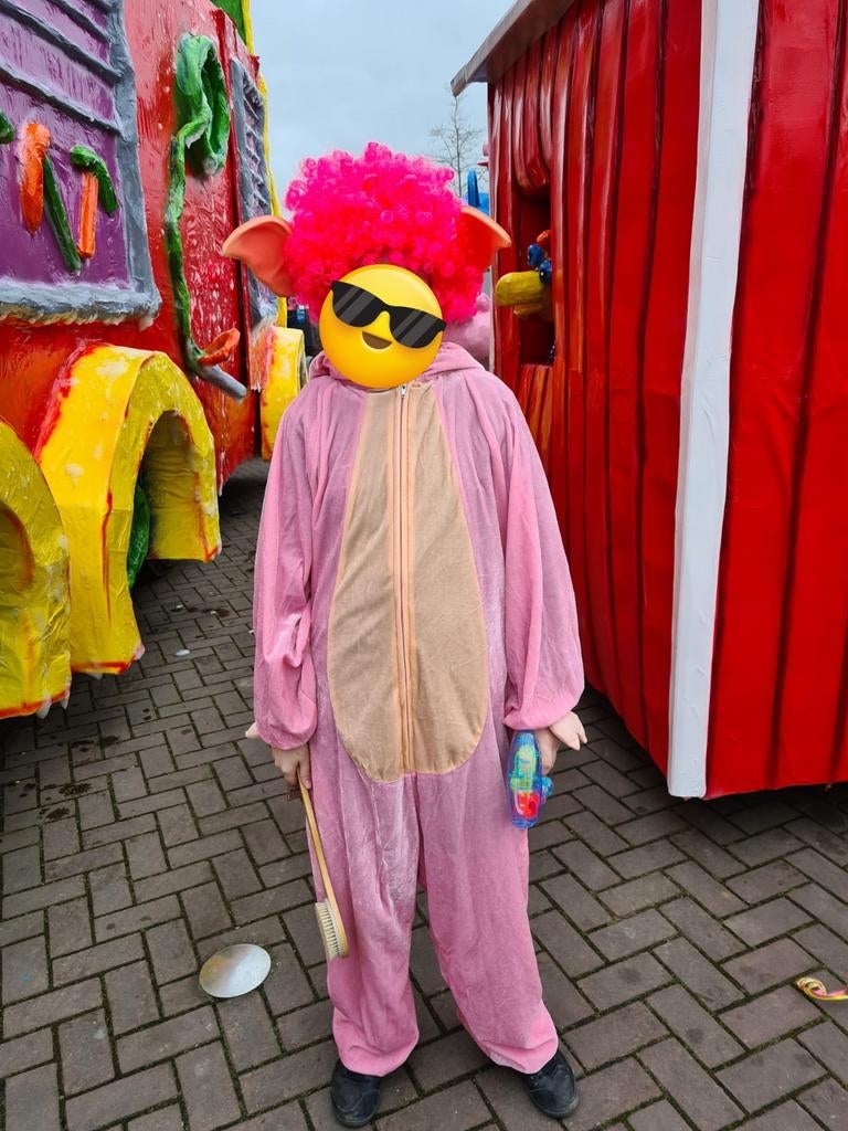 Varkenspak inclusief pruik oren en neus. 6 stuks, Kleding | Dames, Carnavalskleding en Feestkleding, Ophalen of Verzenden, Gedragen