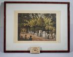 prent koloniale historie (plantentuin Bogor), Ophalen of Verzenden, Zo goed als nieuw