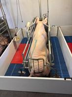 Kraamhokken [755], Boekhorst Trading, Info@boekhorsttrading.com, Singel 16, Horssen