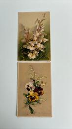 Catharina KLEIN. Violen en lelietjes. Bloesemtak, Ophalen of Verzenden, Voor 1920, Gelopen, Overige thema's
