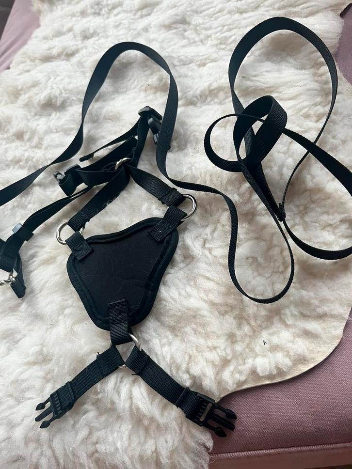 Houdini harnas tuigje voor kat, Dieren en Toebehoren, Katten-accessoires, Zo goed als nieuw, Ophalen of Verzenden