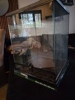 Terrarium 45x45x60. Met of zonder lampenkap, Dieren en Toebehoren, Slang, 0 tot 2 jaar