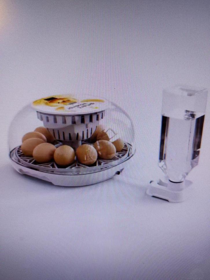 Broedmachine 12 ei volautomatisch incl. gratis broedeieren, Dieren en Toebehoren, Pluimvee | Toebehoren, Nieuw, Broedmachine, Ophalen