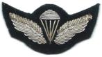 Chilean Army Parachutist Basic Qualification Wing (Enlisted), Verzamelen, Militaria | Algemeen, Embleem of Badge, Overige gebieden
