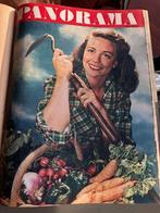 Panorama ingebonden 1949 juli-december, Ophalen of Verzenden, Gelezen, Glossy