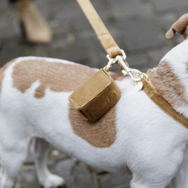 KENTUCKY Velvet Square Poepzakhouder Mosterd Excl poepzakjes, Dieren en Toebehoren, Honden-accessoires, Nieuw, Ophalen of Verzenden