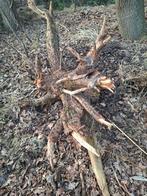 Decoratieve boomstronk, Ophalen, Gebruikt, Palen, Hardhout