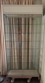 Vitrinekast geanodiseerd aluminium 100 x 40, Huis en Inrichting, Kasten | Vitrinekasten, Ophalen, Zo goed als nieuw, 25 tot 50 cm