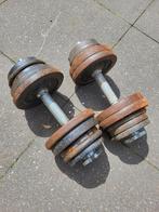 2 dumbells met gewichten, Sport en Fitness, Fitnessmaterialen, Gebruikt, Rug, Dumbbell, Ophalen