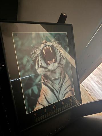 Fotolijst beschikbaar voor biedingen