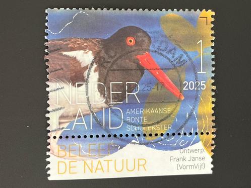 3077 Nederland 2025 - Vogels Eustatius 5e links - gestempeld, Postzegels en Munten, Postzegels | Nederland, Gestempeld, Na 1940