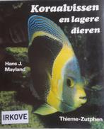 KORAALVISSEN EN LAGERE DIEREN * Hans J. Maryland *, Boeken, Verzenden, Zo goed als nieuw, Vissen, Hans J. Maryland