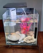 Superfish Qubiq 30 Pro Wit., Dieren en Toebehoren, Vissen | Aquaria en Toebehoren, Ophalen, Zo goed als nieuw, Gevuld zoetwateraquarium