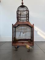 Antieke Victoriaanse Vogelkooi met Handgesneden Vogels, Antiek en Kunst, Ophalen