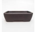 bonsaischaal 14.5x10.5x4.5cm,  nieuw en ongebruikt, Ophalen of Verzenden, Volle zon, Overige soorten, Minder dan 100 cm