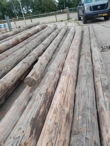 Oude grenen houten binten rond beschikbaar voor biedingen