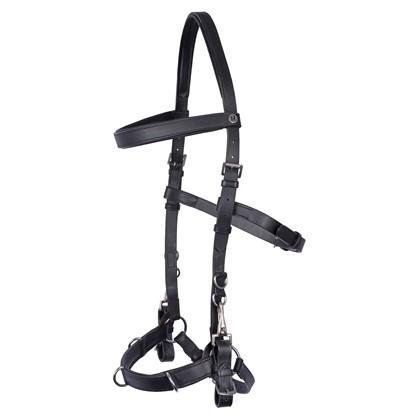 Harry’s horse hoofdstel Kaptoom leder zwart, Dieren en Toebehoren, Paarden en Pony's | Hoofdstellen en Tuigage, Nieuw, Ophalen of Verzenden