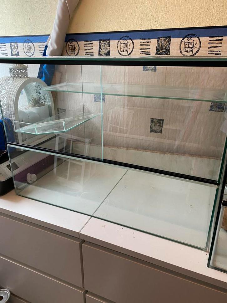 Gerbilarium/knaagdierverblijf 70x40x50 (opknapper), Dieren en Toebehoren, Knaagdieren en Konijnen | Hokken en Kooien, Gebruikt