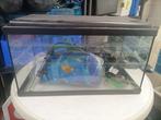 Aquarium 60cm bij 30 cm bij 30 cm met alle toebehoren, Dieren en Toebehoren, Vissen | Aquaria en Toebehoren, Ophalen, Gebruikt