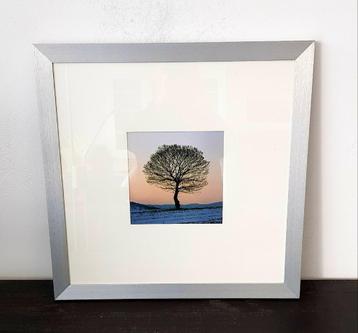 Aluminium wissellijst met boom, 45x45 cm beschikbaar voor biedingen