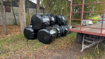 Voordroog en bijna-hooi te koop beschikbaar voor biedingen